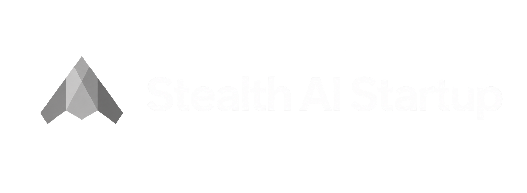 Stealth AI Startup